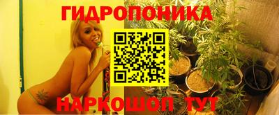 гашик Пушкино