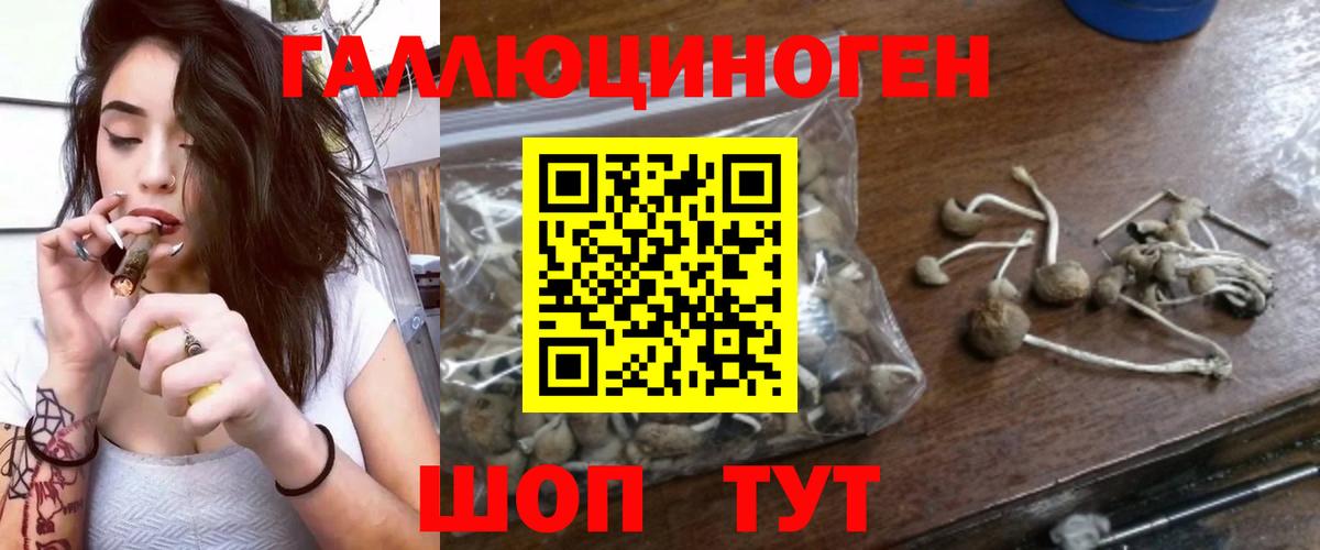 Первоуральск  Псилоцибиновые грибы мицелий  Вход с VPN  Галлюциногенные грибы Magic Shrooms 