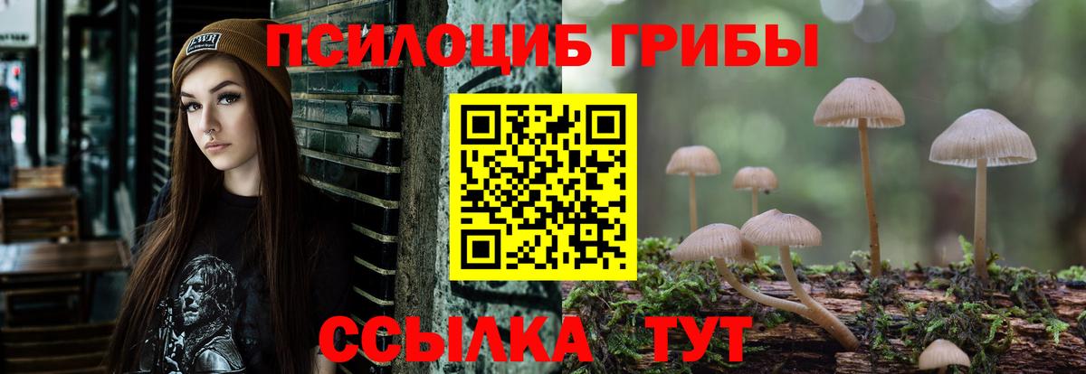 Псилоцибиновые грибы Cubensis Первоуральск